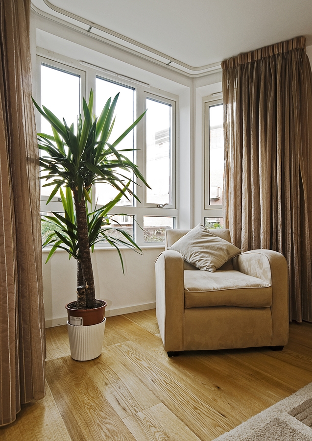 Living room with a large bay window arm chair and plant